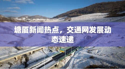 塘厦新闻热点,交通网发展动态速递