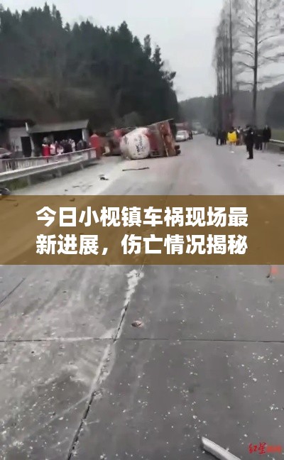 不求甚解 第5页