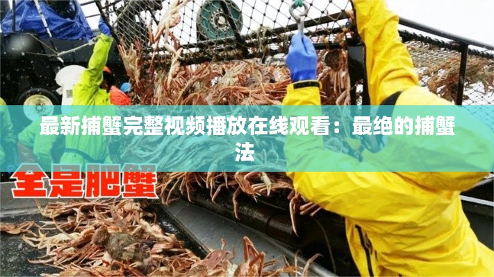 最新捕蟹完整视频播放在线观看:最绝的捕蟹法
