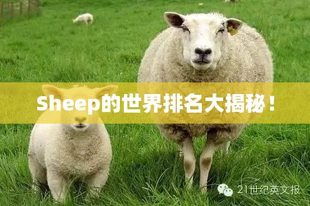 改弦易张 第4页