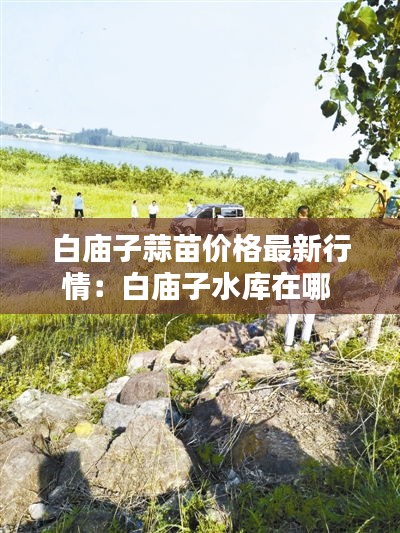 南辕北辙 第4页
