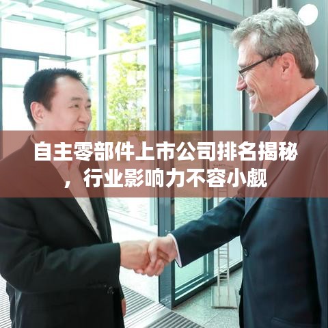 自主零部件上市公司排名揭秘,行业影响力不容小觑