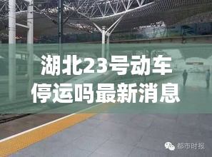 鸟语花香 第4页