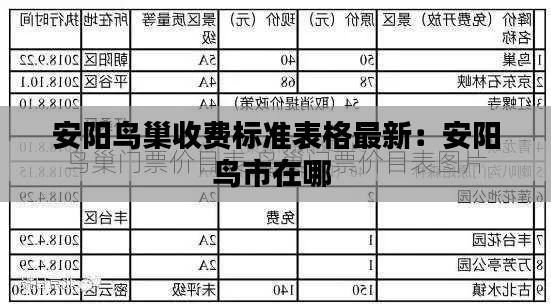 安阳鸟巢收费标准表格最新：安阳鸟市在哪 