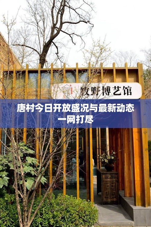 唐村今日开放盛况与最新动态一网打尽