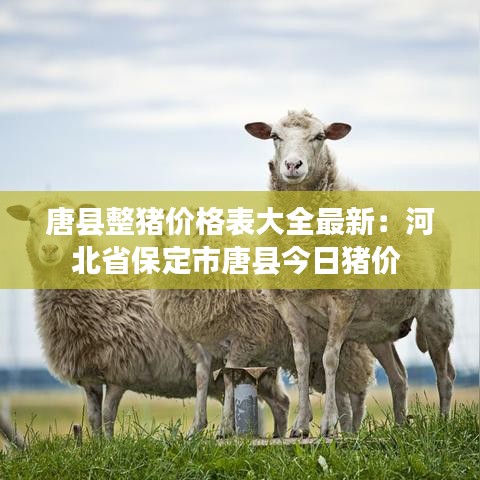 夫妻本是同 第4页