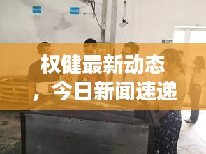 权健最新动态,今日新闻速递