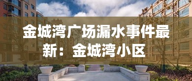 衣不重采 第4页