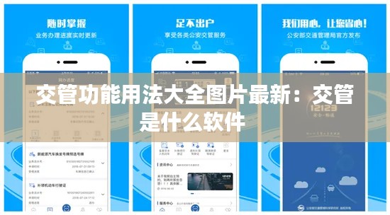 交管功能用法大全图片最新:交管是什么软件