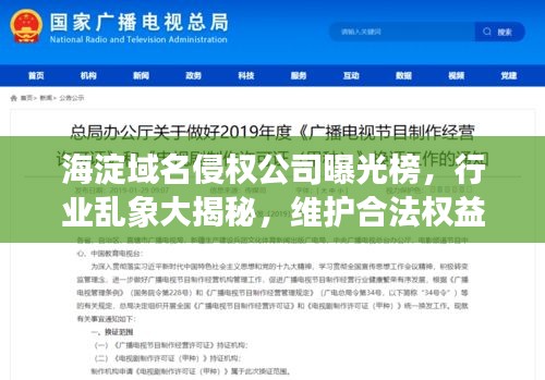 飞箭如蝗 第4页