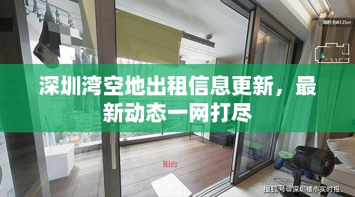 深圳湾空地出租信息更新,最新动态一网打尽