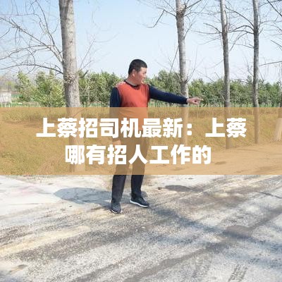 上蔡招司机最新:上蔡哪有招人工作的