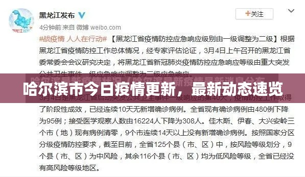 哈尔滨市今日疫情更新,最新动态速览