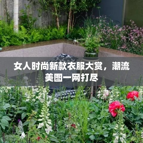 女人时尚新款衣服大赏,潮流美图一网打尽