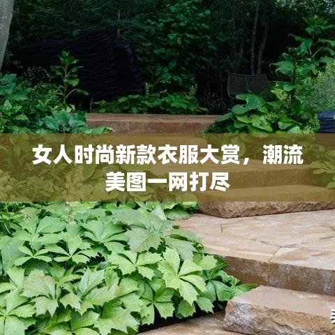 女人时尚新款衣服大赏,潮流美图一网打尽