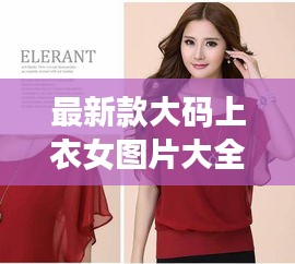 最新款大码上衣女图片大全:今日新款大码女装