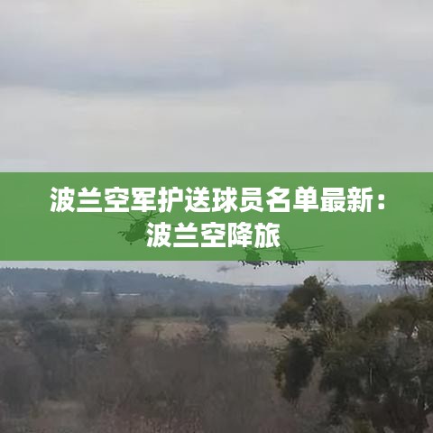 波兰空军护送球员名单最新:波兰空降旅