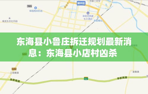 东海县小鲁庄拆迁规划最新消息:东海县小店村凶杀