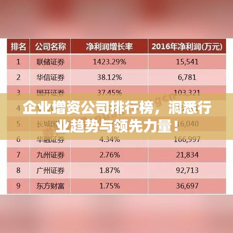 企业增资公司排行榜,洞悉行业趋势与领先力量!