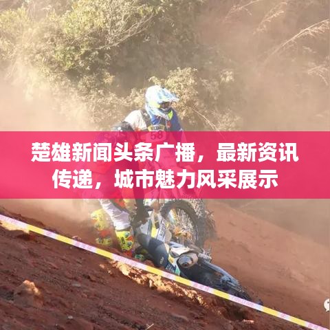 楚雄新闻头条广播,最新资讯传递,城市魅力风采展示