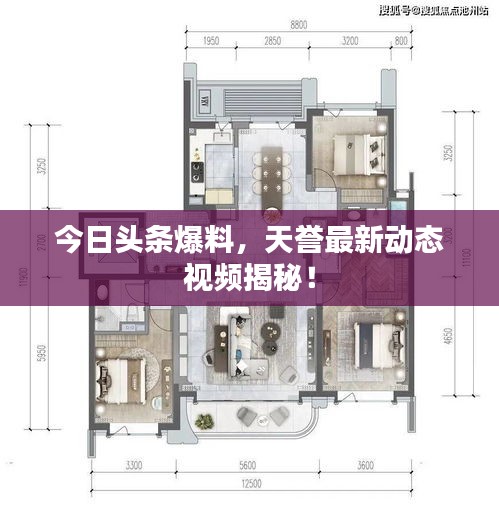 今日头条爆料，天誉最新动态视频揭秘！