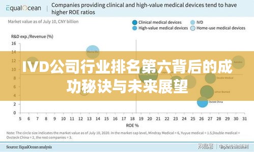 IVD公司行业排名第六背后的成功秘诀与未来展望