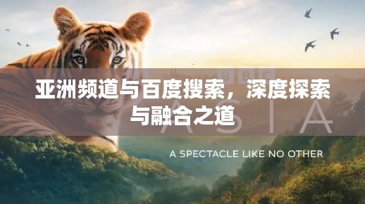 亚洲频道与百度搜索,深度探索与融合之道