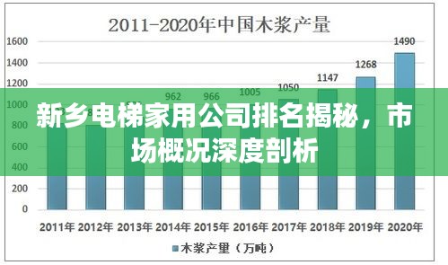 新乡电梯家用公司排名揭秘,市场概况深度剖析