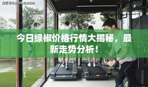 今日绿椒价格行情大揭秘,最新走势分析!