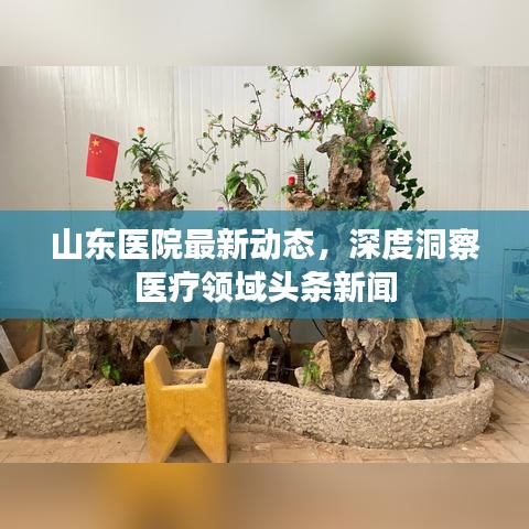 山东医院最新动态,深度洞察医疗领域头条新闻