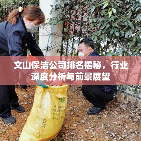 文山保洁公司排名揭秘,行业深度分析与前景展望