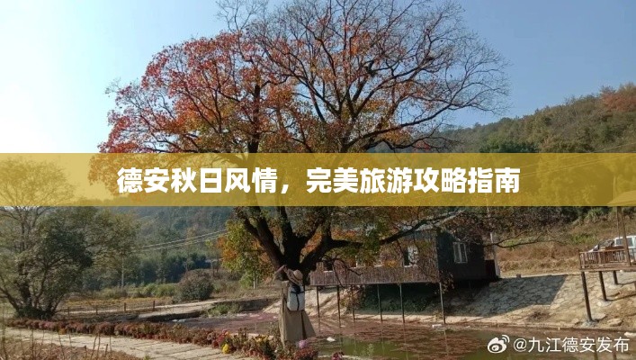 陈力就列 第4页
