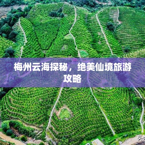 梅州云海探秘,绝美仙境旅游攻略