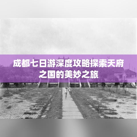 成都七日游深度攻略探索天府之国的美妙之旅