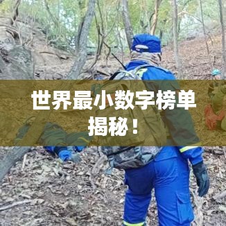 世界最小数字榜单揭秘!