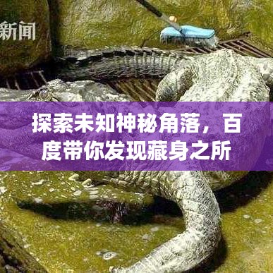 探索未知神秘角落,百度带你发现藏身之所