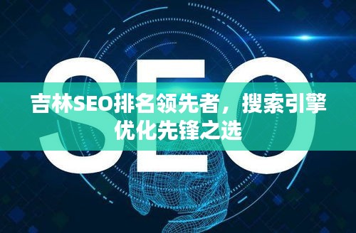 吉林SEO排名领先者,搜索引擎优化先锋之选