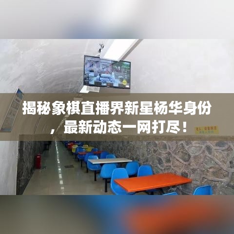 揭秘象棋直播界新星杨华身份,最新动态一网打尽!