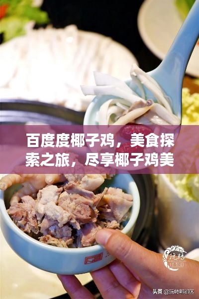 百度度椰子鸡,美食探索之旅,尽享椰子鸡美味盛宴!