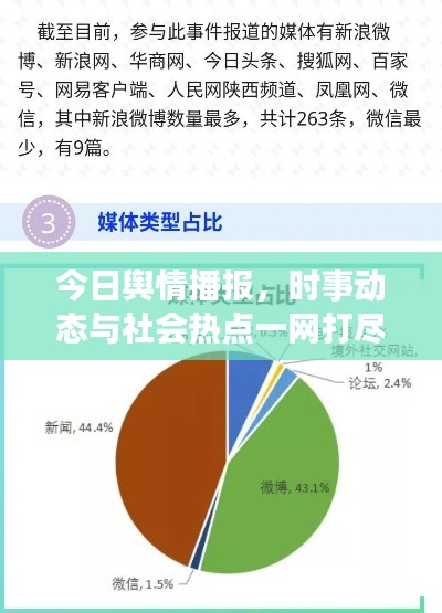 今日舆情播报,时事动态与社会热点一网打尽的视频揭秘