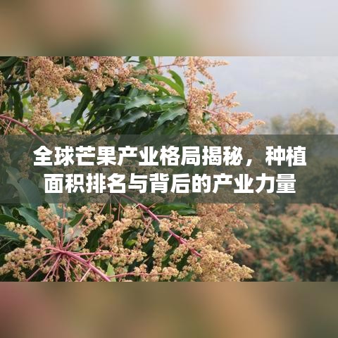 全球芒果产业格局揭秘,种植面积排名与背后的产业力量