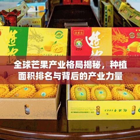 全球芒果产业格局揭秘,种植面积排名与背后的产业力量