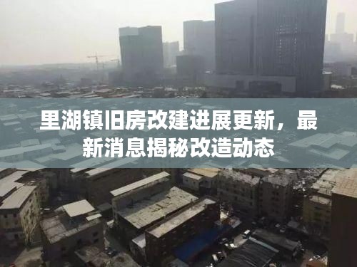 瞋目张胆 第3页