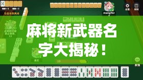 麻将新武器名字大揭秘!