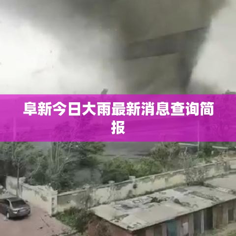 阜新今日大雨最新消息查询简报