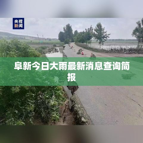 阜新今日大雨最新消息查询简报