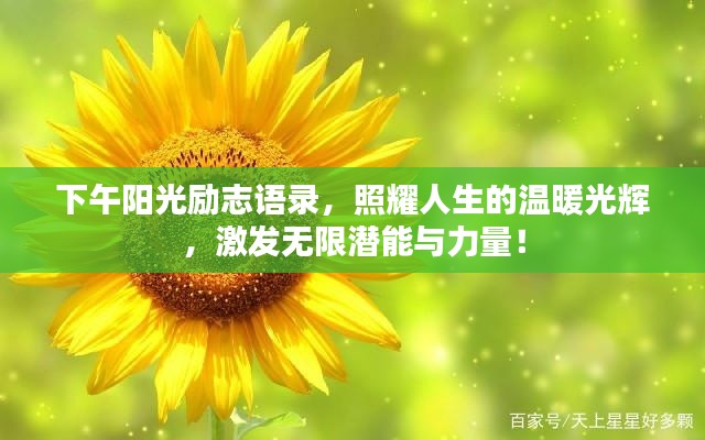 下午阳光励志语录,照耀人生的温暖光辉,激发无限潜能与力量!