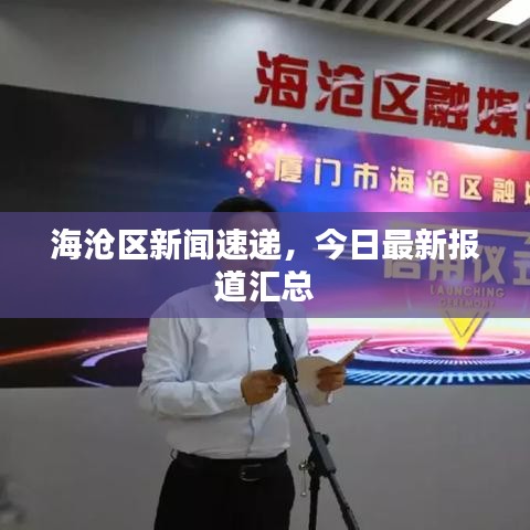 海沧区新闻速递,今日最新报道汇总