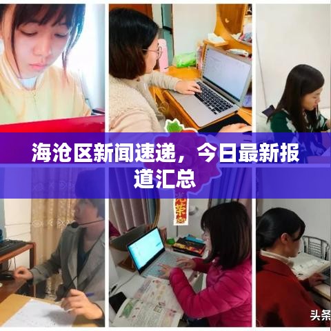 海沧区新闻速递,今日最新报道汇总