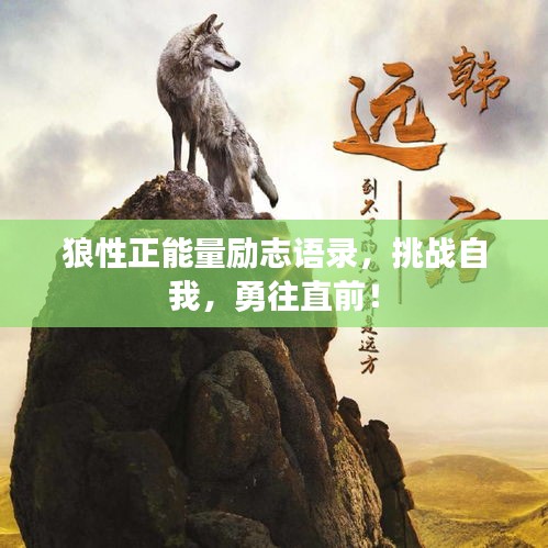 狼性正能量励志语录,挑战自我,勇往直前!